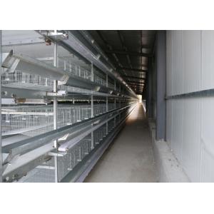 China Poultry Farm H Type Layer Chicken Cage Scientific Designed High - Density Raising supplier