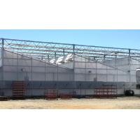 Plastic Film Greenhouse Structure For Optimal Shading And Wind Resistance