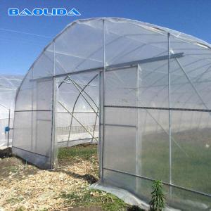 China Low Or High Tunnel Plastic Greenhouse Hot Dip Galvanized High Latitude Area supplier