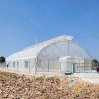 China Umbrella Galvanized Greenhouse Frames Single Span Tropical Tunnel Automatic Vent on sale