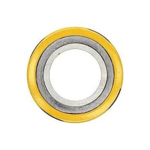 Yellow 1 Inch 300 LB Flange Gasket SS316L Color Coding