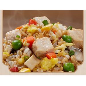 China Mre Meals Ready To Eat Rice Fry Pan Instant Fried Rice