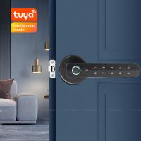 China Smart Biometric Password TTLock Digital Door Lock Aluminium Semi Auto Handle Lock Office Smart Door Lock on sale