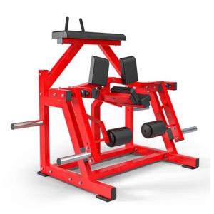China Lateral Leg Press Plate Loaded Seated Hammer Strength Dip Machine supplier