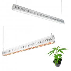 China 300 Watt Greenhouse LED Grow Lights For For Indoor Plants Water Resistance supplier