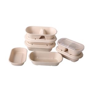 Sugarcane Compostable Freezer Containers Take Away Food Packaging Safe Disposable