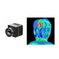 China Medical Thermal Imaging Infrared Camera Core 384x288 17um on sale
