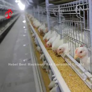 China 96 Birds / 128 Birds Broiler Cage System A Type Or H Type In African Market Iris supplier