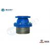 Cast Iron Body Flanged Non Return Foot Valve With Stainless Strainer PN10 Class