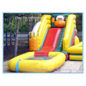 2014 Hot Sale Inflatable Water Slide N Slip (CY-M2138)