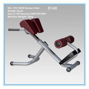 China Low Impact Aerobic Exercise Equipment Roman Chair Hyperextension Bench 54 Kg supplier