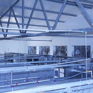China Battery Poultry Farming Equipment , Durable H Type 192 Baby Chicken Cage wholesale