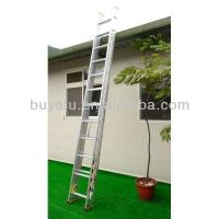 China Two Sections Aluminum Extendable Ladder Silver Anodized Industrial Ladders on sale