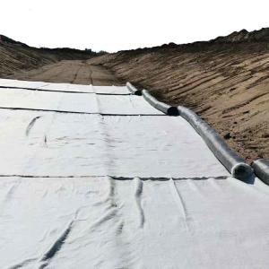 China White Geosynthetic Clay Liner for Waterproofing Municipal Water Conservancy Projects supplier