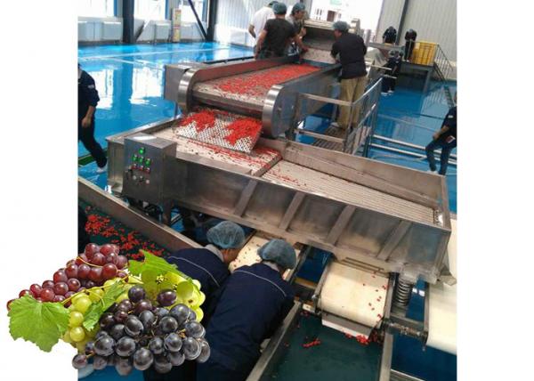 Concentrated Grape Juice Processing Line / Fruit Juice Processing Equipment