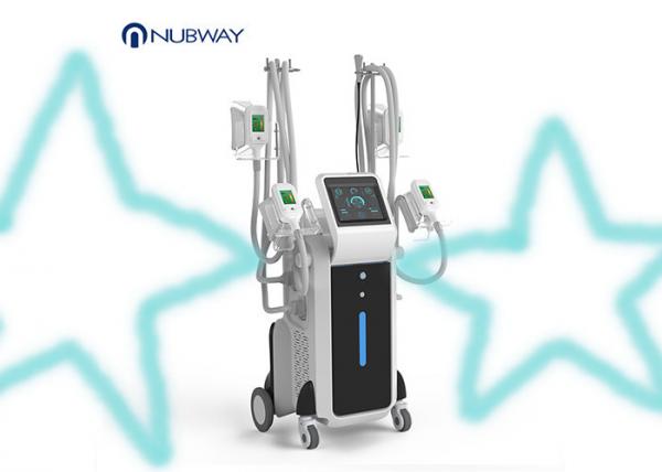 Double chin 4 heads cryolipolysis fat freeze slimming machine/kryolipolyse