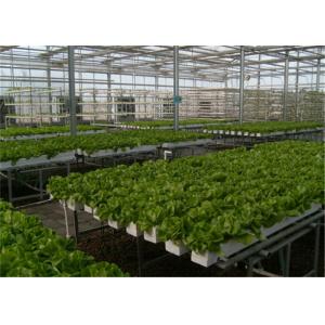 Good Ventilation Greenhouse Rolling Benches , Greenhouse Seedbed System 1.2 - 5.0mm Diameter