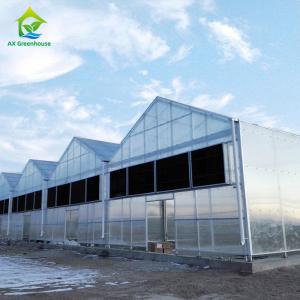 China Polycarbonate Sheet Cover Light Deprivation Greenhouse For Commercial Growing Hemp supplier
