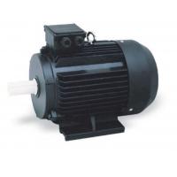China Synchronous Industrial  3 Phase Induction Motor Medium Three Phase Voltage 380V on sale