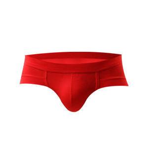 Spandex Custom Boxer Shorts Mens Briefs Boxer Mens Sexy Underwear