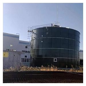 EGSB Anaerobic Reactor Wastewater Treatment Manure Methane Digester