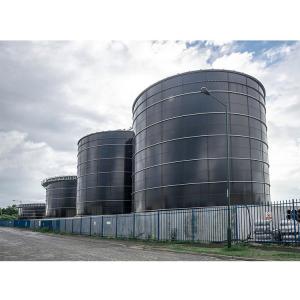 China Industrial Anaerobic Digestion Equipment With Smooth And Polish Surface supplier