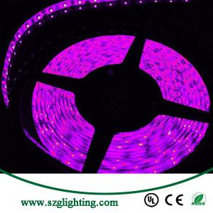 Waterproof LED SMD 300LED 5M Flexible Light Strip 12V 2A 24W 60LED/M