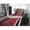 China 20t/h Máquina de procesamiento de dátiles Línea de producción de pasta en polvo Máquina para hacer jarabe de dátiles wholesale