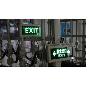 Customizable 3W Anti-Explosion Emergency Exit Sign LED Light Source for Chemical Plants & Mining Operations