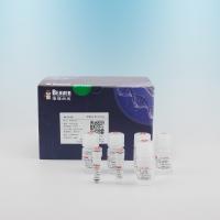 China 100 Reactions Blood DNA Kit For Blood DNA Extraction For Automatic Operation on sale