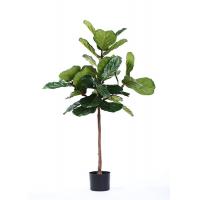 China 6 Ft Ficus Silk Tree Out Of Style No Maintenance Required For Room Decoration on sale