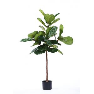 6 Ft Ficus Silk Tree Out Of Style No Maintenance Required For Room Decoration