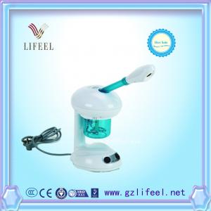 Portable Mini Ionic Electric Facial Steamer home use beauty equipment