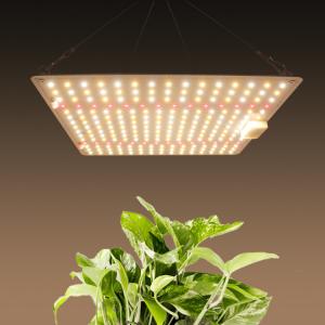 China Full Spectrum 150W Horticulture SMD Chip LED Grow Lights For Indoor Plants supplier