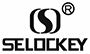 China Smart WIFI Door Lock manufacturer