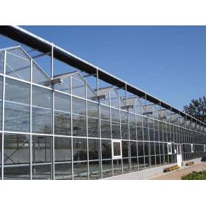 China Glass Greenhouse, Venlo structure supplier