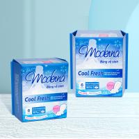 China Customized Manufacturers Soft Ultra Thin Sanitary Napkins Private Label Sanitary Napkin Women Sanitary Napkin China on sale