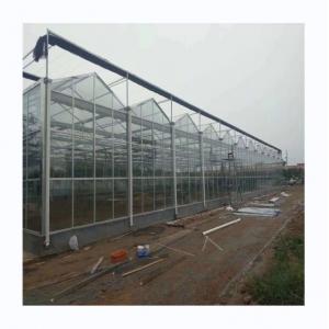 Multi Span Glass Greenhouse Agricultural Equipment for Vegetable Fruits and Flowers