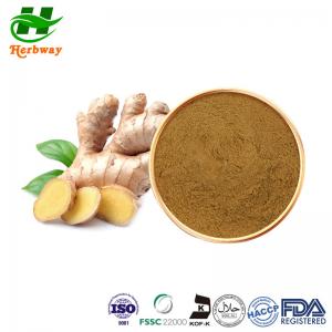 Yellow Powder Ginger Extract Ginger Root Extract Gingerol CAS 84696-15-1