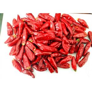 20000SHU Facing Heaven Pepper 8% Moisture Dried Hot Chili Single Herb