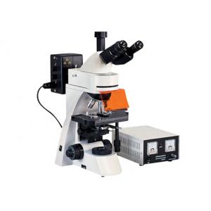 China Trinocular Led Fluorescence Microscope 1000X Kohler Illumination UV Light Microscope supplier