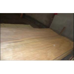 Nature Rotary Cut Birch Veneer Sheet A grade , Natural Wood Veneer