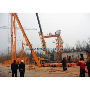 China QTD5030 Luffing Tower Crane 50m Jib Boom Length 12T Weight Load wholesale