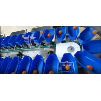 China Touch Screen Multi Grade Circular Weight Sorting Machine For Yolk Fish Fruits on sale