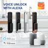 China Fully Auto Smart Lock with WiFi Bluetooth Fingerprint and Key wholesale
