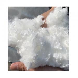 Durability Highly Durable Micro Fiber Polyester With Anti-Fungal Anti-Bacterial