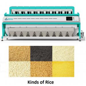 China CCD Intelligent Digital Rice Color Sorter Machine 10 Chutes Green Color supplier