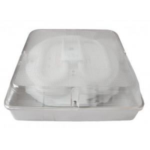 Maintained LED ceiling emergency light  IP65