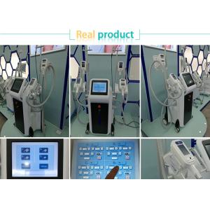 12 inch touch color screen -15~5 celcius ice shaping cryolipolysis fat freeze slimming machine