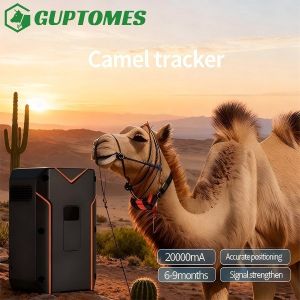 China Voice Intercom Camel Tracking Device With Geo Fencing Real Time Historical Trajectory wholesale